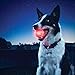 Nite Ize GlowStreak LED Dog Ball, Bounce-Activated Light Up Dog Ball, Replaceable Batteries, Red LED