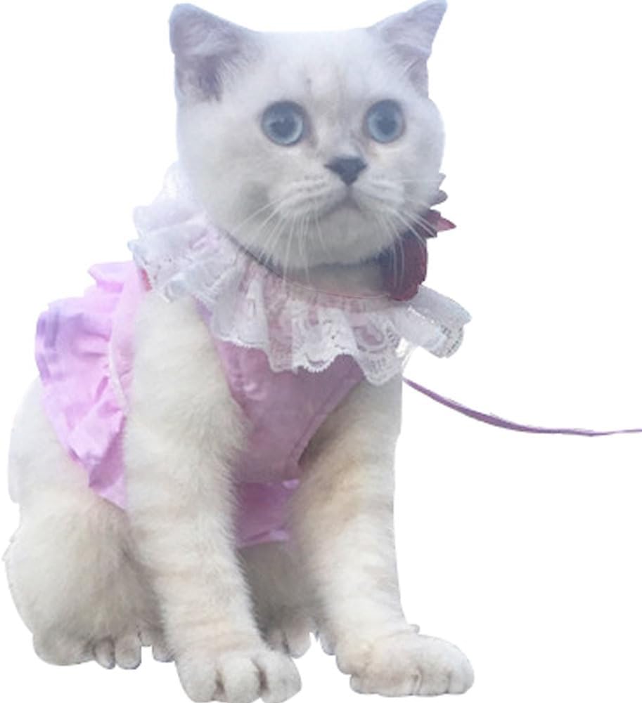Da Jia IncBreathable Cat Lace Dress Harness with Matching Lead Leash Set(Pink,M)
