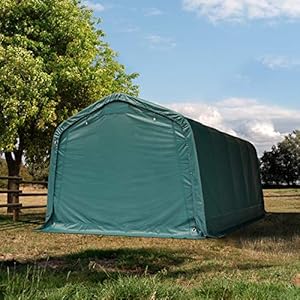 TOOLPORT Box Cavalli 3,3x6 m, Robusto Telo Verde in PVC ca. 550g/m², Protezione per Cavalli, Pecore, Riparo per Animali Marca: TOOLPORT TOOLPORT Box Cavalli 3,3x6 m, Robusto Telo Verde in PVC ca. 550g/m², Protezione per Cavalli, Pecore, Riparo per Animali