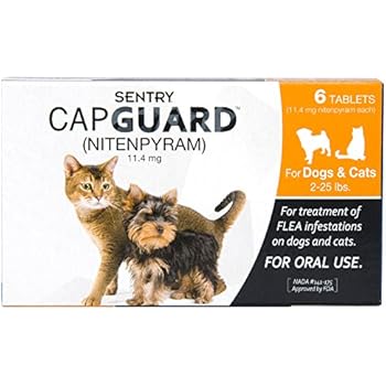 Amazon.com : Program Oral Suspension 12pk Orange Cat 1-10 ...