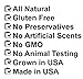Desert Oasis Skincare | Organic Unscented Hand Salve – Over 50% Organic Jojoba Oil with Beeswax & AvocadoOil – Gentle, Fragrance-Free Balm for Sensitive Skin, Dry Hands & Cuticles (2 oz / 60 g)