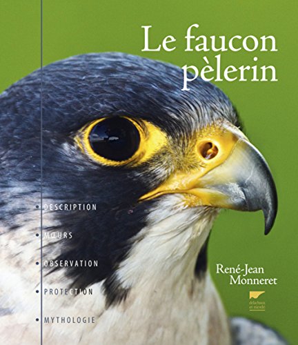 Le faucon pèlerin by