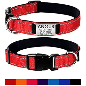 Joytale Personalized Dog Collar with Engraved Slide on ID Tags,Custom Reflective Collars for Small Medium Large Dogs,Red