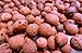 2LB Hydrokorrels Hydroponic Expanded Clay Grow Rocks