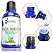 Bestmade Facial Paralysis Natural Remedy BM68 - Helps with Bell's Palsy, Facial Drooping, Tearing Eyes and Loss of Taste, 30 mL Drops