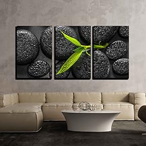 Bamboo Branch on Zen Stone - Canvas Art Wall Art - 16"x24"x3 Panels