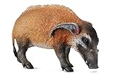 CollectA Wildlife Red River Hog Toy Figure - Authentic Hand Painted Model