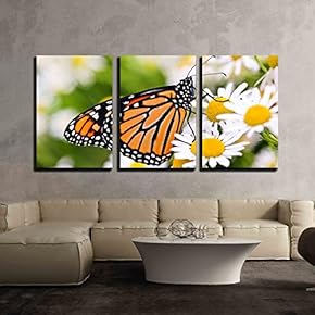 Monarch Butterfly In Spring - Canvas Print