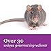 F.M. Brown's Tropical Carnival, Gourmet Pet Mouse and Rat Food with Fruits, Veggies, Seeds, and Grains, Vitamin-Nutrient Fortified Daily Diet, 2 lb