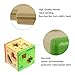 [US CPSC Certificated] Babylian Educational Sorting Cube Toys Bricks of Different Wooden Shapes and Colors for 1-3 Years Old young Childhood Intellectual Education