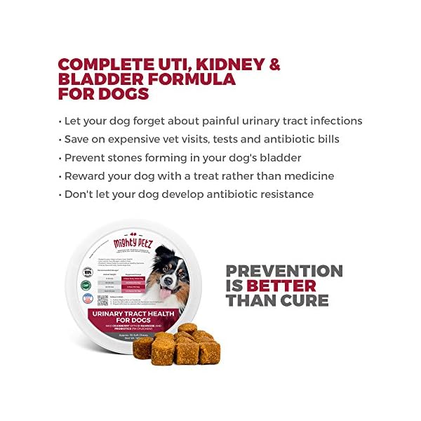 Mighty Petz MAX Cranberry for Dog UTI Treatment Urinary Tract, Kidney