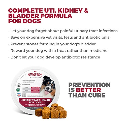 Mighty Petz MAX Cranberry for Dog UTI Treatment Urinary Tract, Kidney