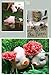 Agirlgle Animal Garden Statue - Cute Pig - Funny Outdoor Sculpture Resin Lawn Ornaments Decor - Best Indoor Outdoor Figurines for Patio Yard and House