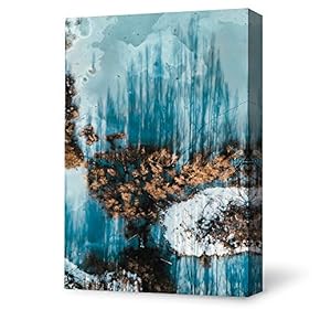 Canvas Wall Art for Living Room,Bedroom Home Artwork Paintings Aerial Photo of Scenery Ready to Hang - 12x18 inches