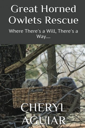 Great Horned Owlets Rescue: Where There's a Will, There's a Way....