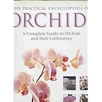 The Illustrated Encyclopedia of Orchids: Pridgeon, Alec