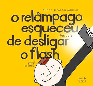 Livro O relâmpago esqueceu de desligar o flash