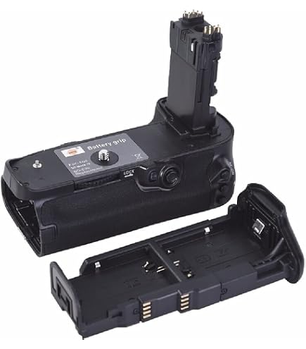 Amazon.com : Canon Battery Grip BG-E20 : Electronics