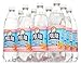 Polar Seltzer 33.8 Fl. Oz, (Pack of 12) (Ruby Red Grapefruit)