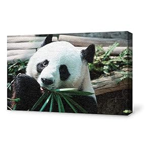 Canvas Wall Art for Living Room,Bedroom Home Artwork Paintings Cute Panda Ready to Hang - 12x18 inches