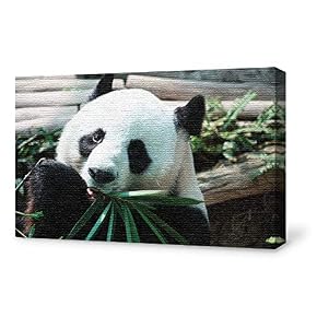 SIGNFORD Canvas Wall Art for Living Room,Bedroom Home...
