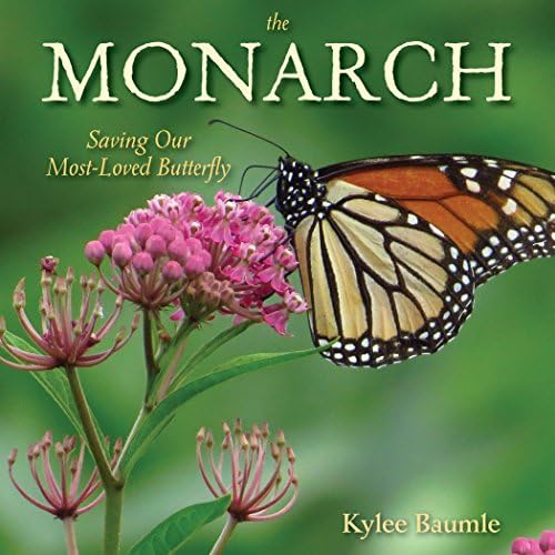 Butterflies of the World: Hoskins, Adrian: 9781921517334: Amazon