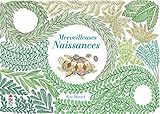 Merveilleuses naissances by 
