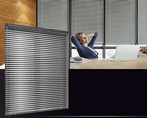 PASSENGER PIGEON Aluminum Blackout Light Filter Blinds Horizontal Custom-Made Water Rust Proof Fire Resistant Window Mini Blinds,1 Inch Slats,21" W x 64" L,Silver - Thumbnail 2