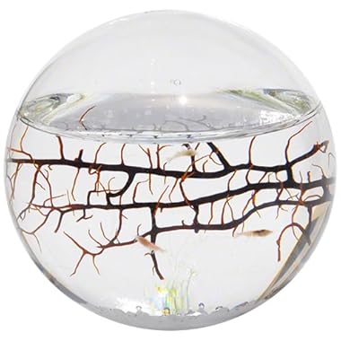 EcoSphere Closed Aquatic Ecosystem, Sphere