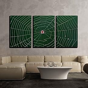 3 Piece Canvas Wall Art - Small Spider in Center of Its Web - Modern Home Art Stretched and Framed Ready to Hang - 16"x24"x3 Panels