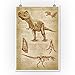 Lantern Press 9x12 Inch Art Print Wall D√©cor, Tyrannosaurus Rex Dinosaur, Da Vinci Style