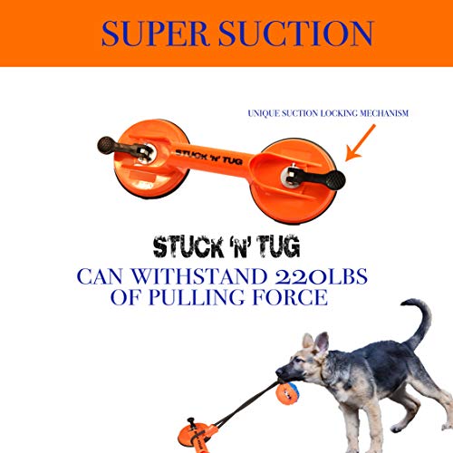 suction cup dog rope