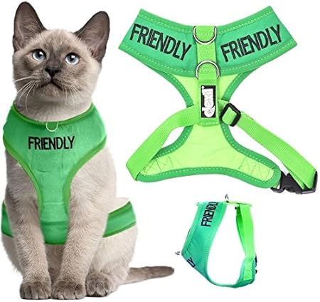 xl cat harness