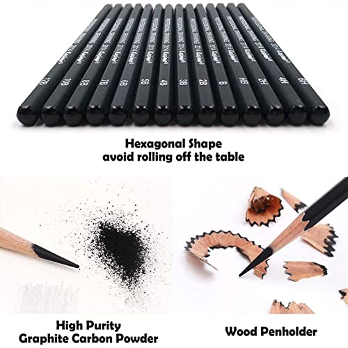 Sketching Pencil Set, 24 Pcs Graphite Drawing Pencil for Artists Adults Children Include 12B 10B 8B 7B 6B 5B 4B 3B 2B B HB 2H 4H 6H Pencils, Charcoal Pencils, Canvas Pencil Bag and Accessories