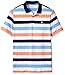 IZOD Men's Performance Golf Polo
