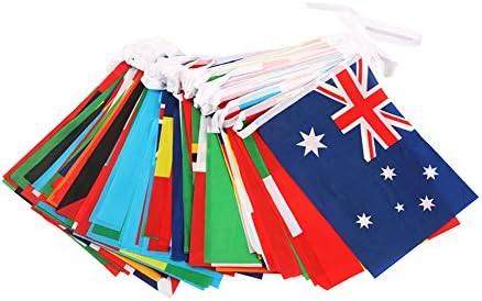 PANSY 100pcs Country Flags Assorted World Flags BannerLX-100pcsflag-Size8