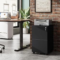 DEVAISE 2-Drawer Mobile File Cabinet with