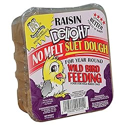C&S Raisin Delight No Melt Suet Dough 11.75
