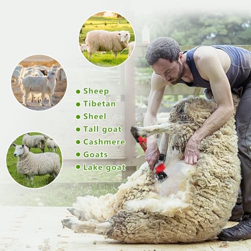 1000W Sheep Clipper, Electric Shearing Machine with 6 Adjustable Speed, Electric Hair Clipper with Carrying Case, Electric Shearing Machine for Sheep Sheep Alpacas Goats