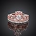 Haoze Women's 18K Rose Gold Plated Cubic Zirconia Princess Luxury Gorgeous Crown Ring Best for Wedding Engagement