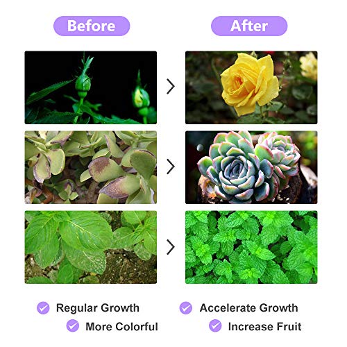 Grow Light Plant Lights for Indoor Plants with Timer Auto ON & Off, Grow Lamp with 360 Degree Gooseneck,10 Dimmable Levels and 3/6/12H Timing for Hydroponics Greenhouse Gardening