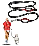 Primal Pet Gear Hands Free Dog Leash, Perfect for Handsfree Walking, Running, Hiking, Dual Handle for Control and Safety, Premium, 48