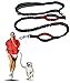 Primal Pet Gear Hands Free Dog Leash, Perfect for Handsfree Walking, Running, Hiking, Dual Handle for Control and Safety, Premium, 48