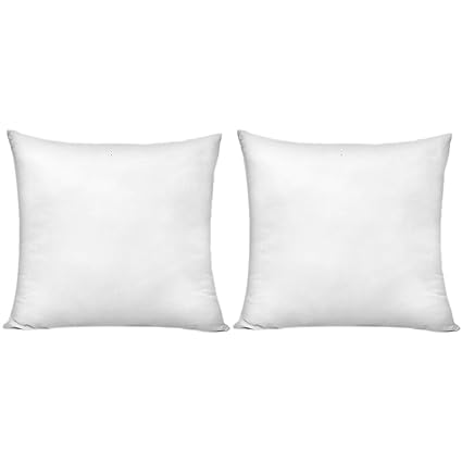 Buy Hippih 20 X 20 Inch Pillow Inserts Set Of 2 Decorative