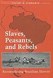 Slaves, Peasants, and Rebels: Reconsidering Brazilian Slavery