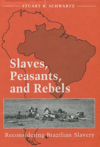 Slaves, Peasants, and Rebels: Reconsidering Brazilian Slavery