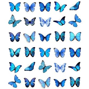 Cupcake Topper, eetbaar wafelpapier, vlinders, blauw, 30 stuks