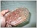 Jet International Jet New Rose Orgone Vastu Plate Free Booklet Crystal Therapy Energy Generator Crystal Gemstones Unique Rare Science Construction Vedic Astrology