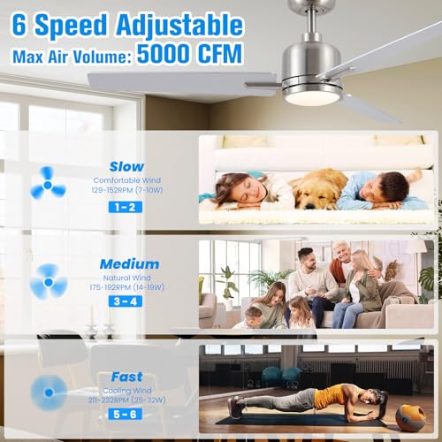 Newday Ceiling Fan, Silver and Wood, 48 Inch Ceiling Fan with Dimmable Light and Silent Remote Control, Reversible Ceiling Fan, 3 Ceiling Pales with 3 Timer 6 Speeds