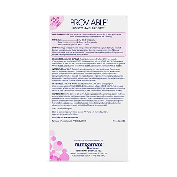 Nutramax Proviable Kit for Cats and Small Dogs Dog Supply Hub